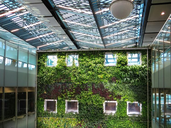 How to Use Vertical Gardening to Maximize Space in a UK Urban Garden?